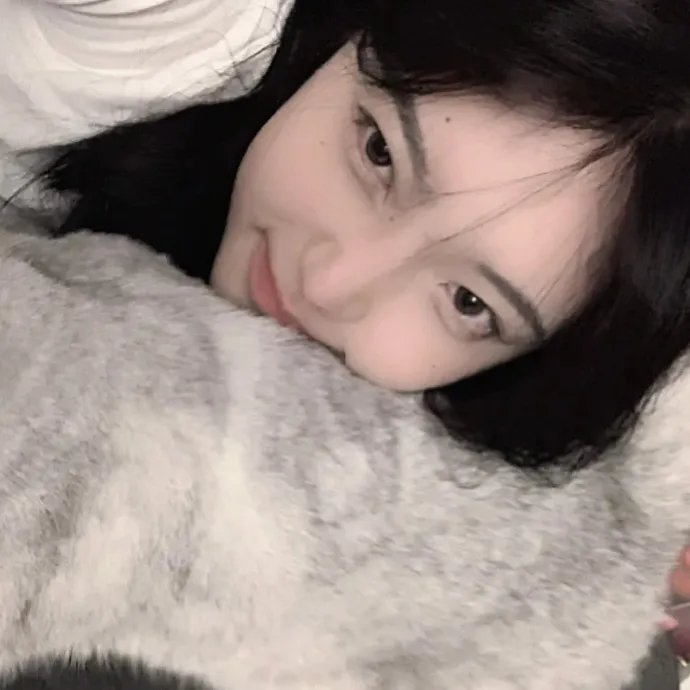 爱凡隆高校 在线观看